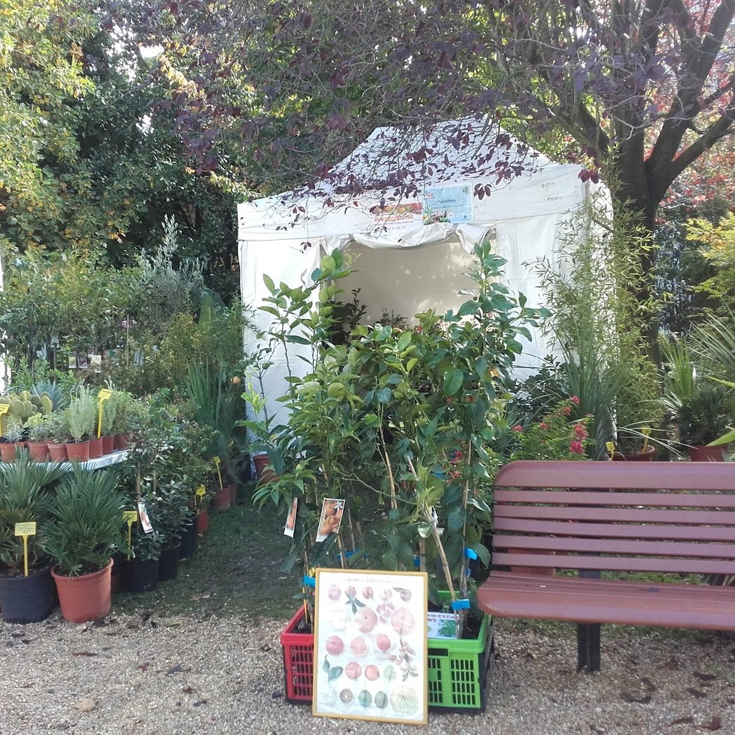 Salon Vert Avril 4