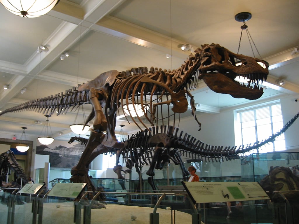 LeFrak Theater - American Museum of Natural History 3