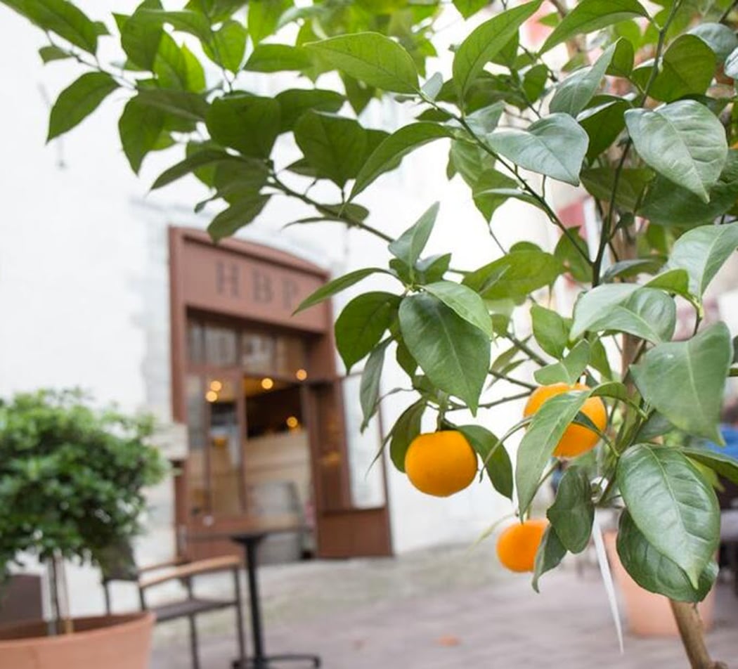 Hôtel & Restaurant Des Basses Pyrénées 1