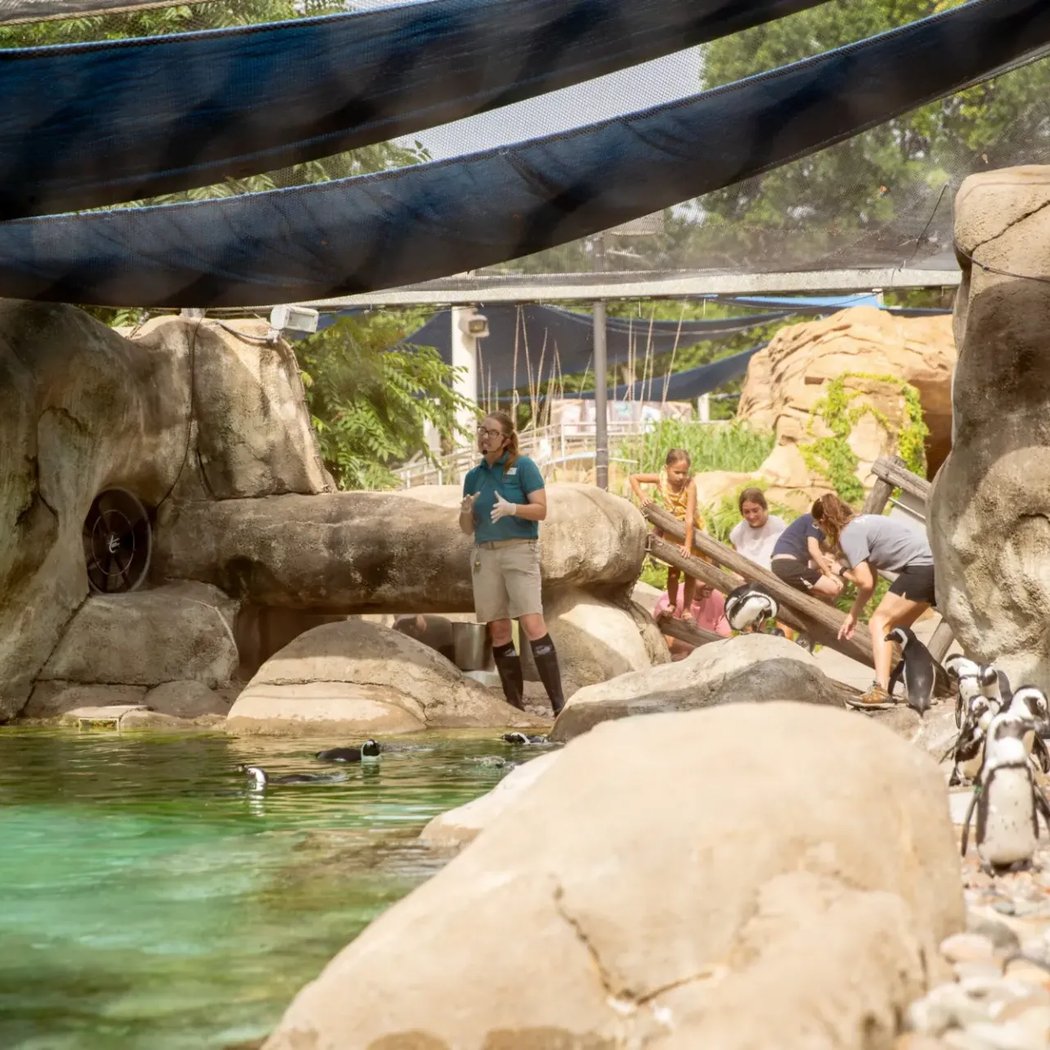 Tulsa Zoo 2