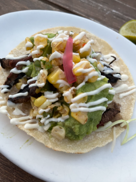 AVO TACO 4