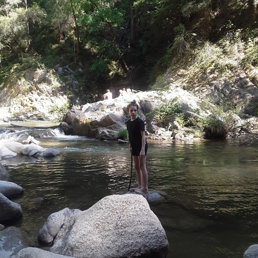 Garden of Eden - Henry Cowell Redwood State Park 3