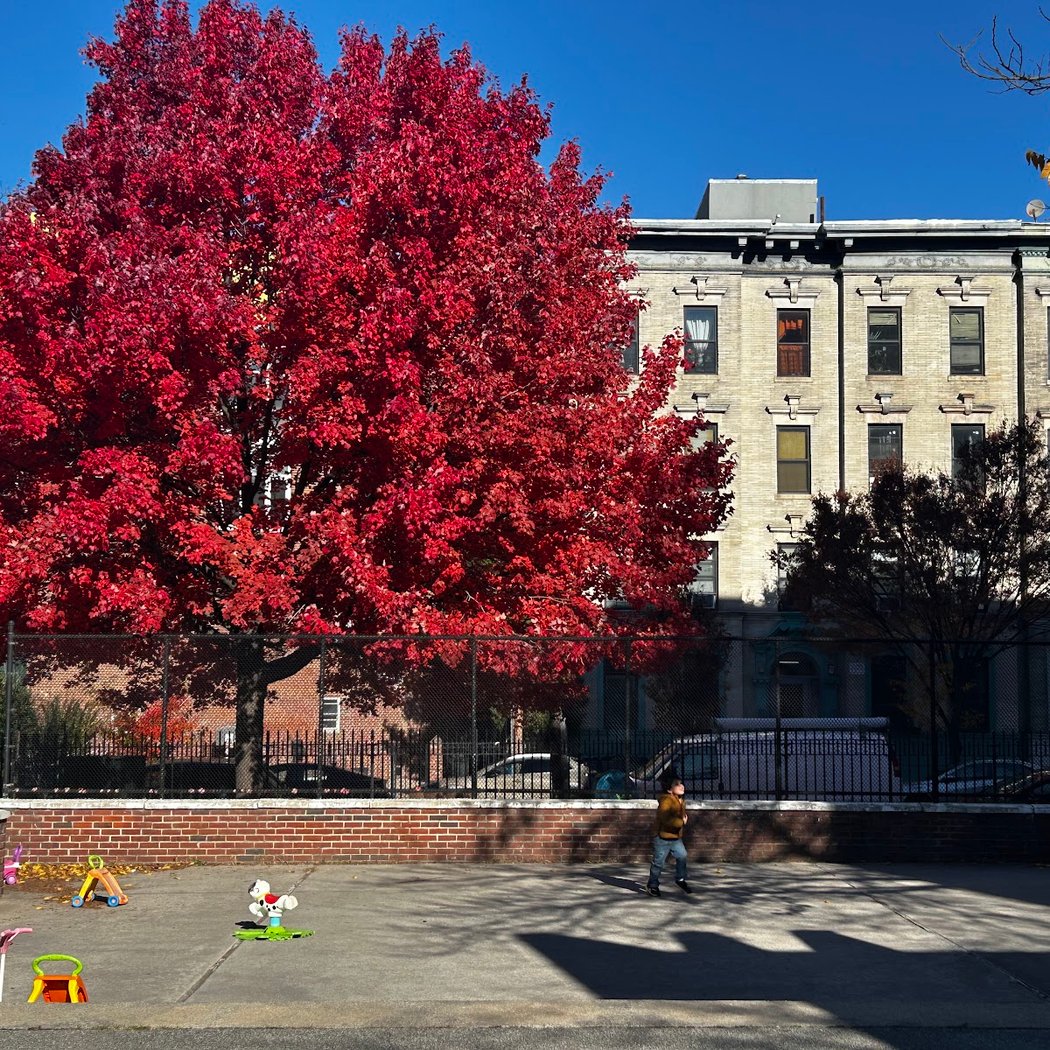 James Forten Playground 4