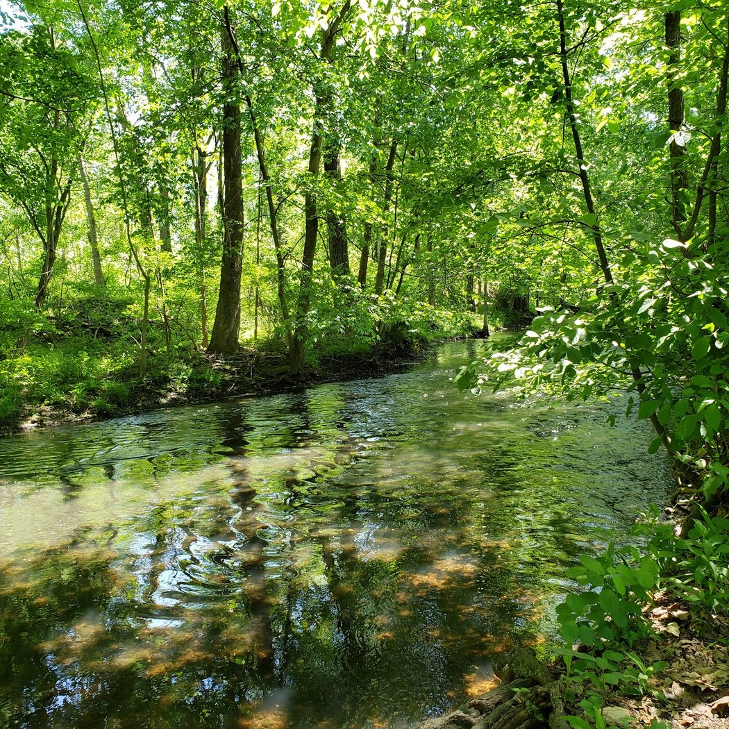 Town of Red Hook Recreation Park 1