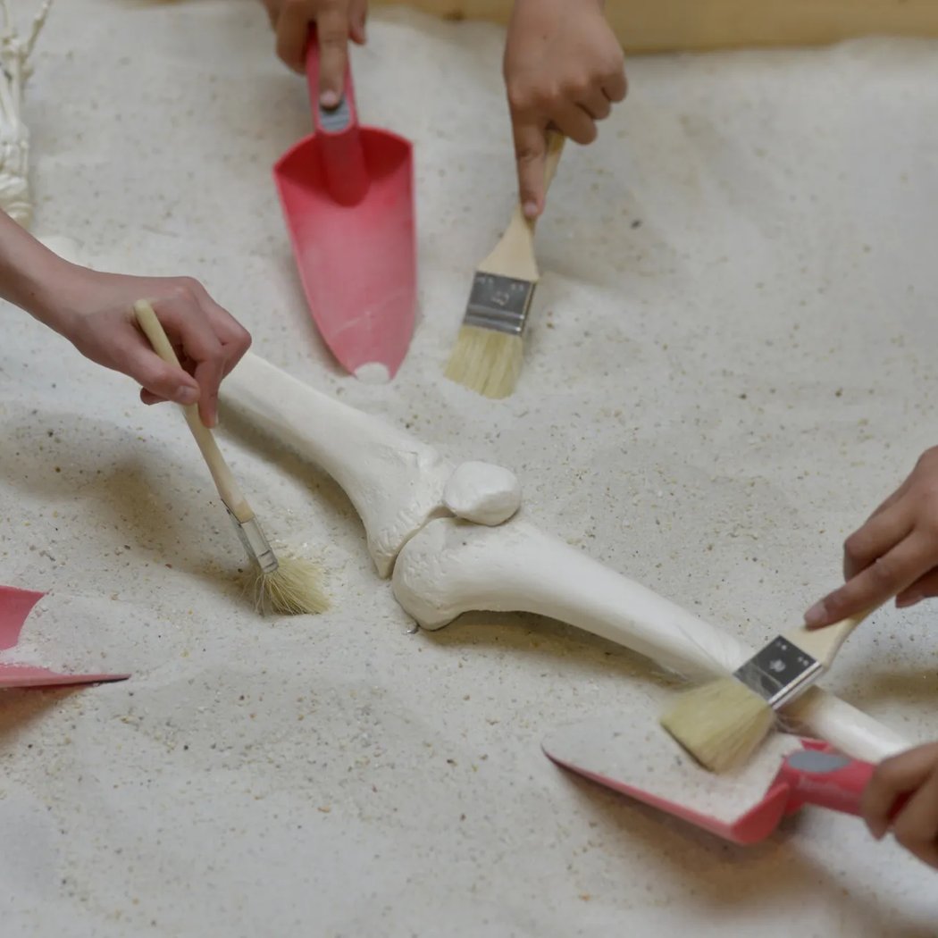 Atelier : Archéo Momias 1