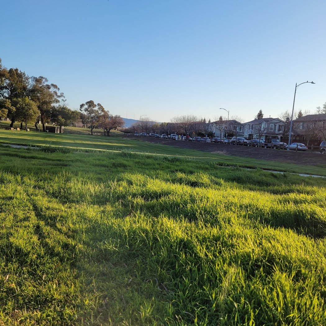 Selma Olinder Park 1