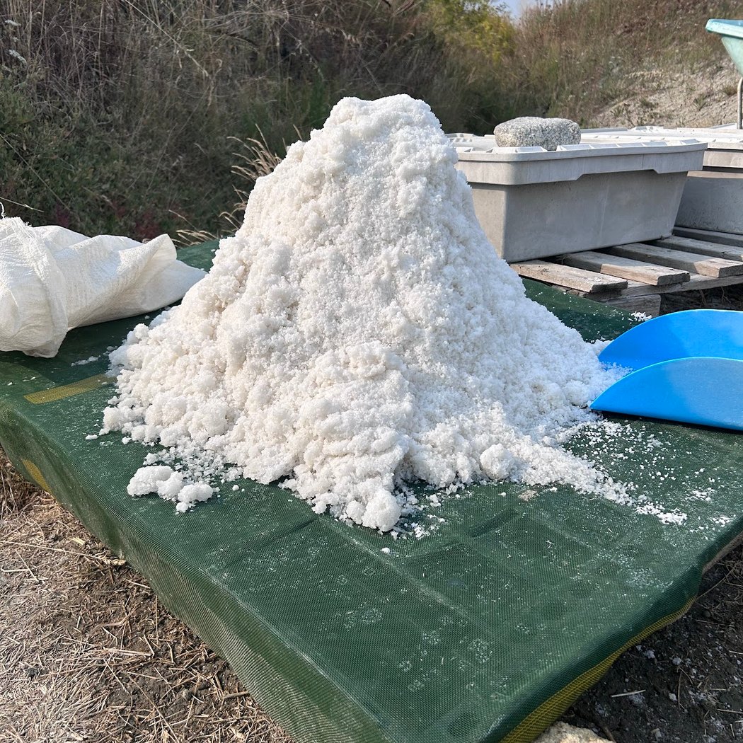 visites de marais salants par Paul Paludier à guérande 3