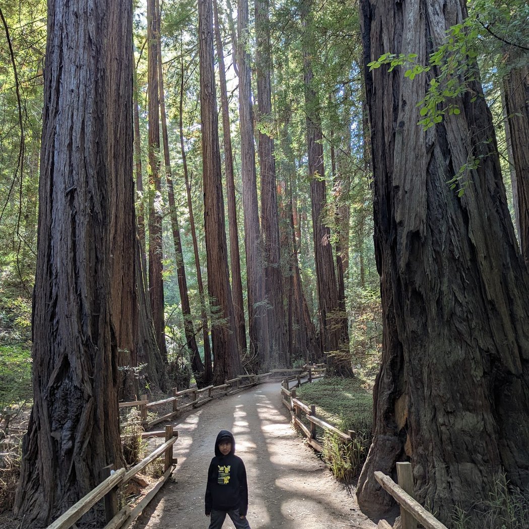 Tenderfoot Trail 1