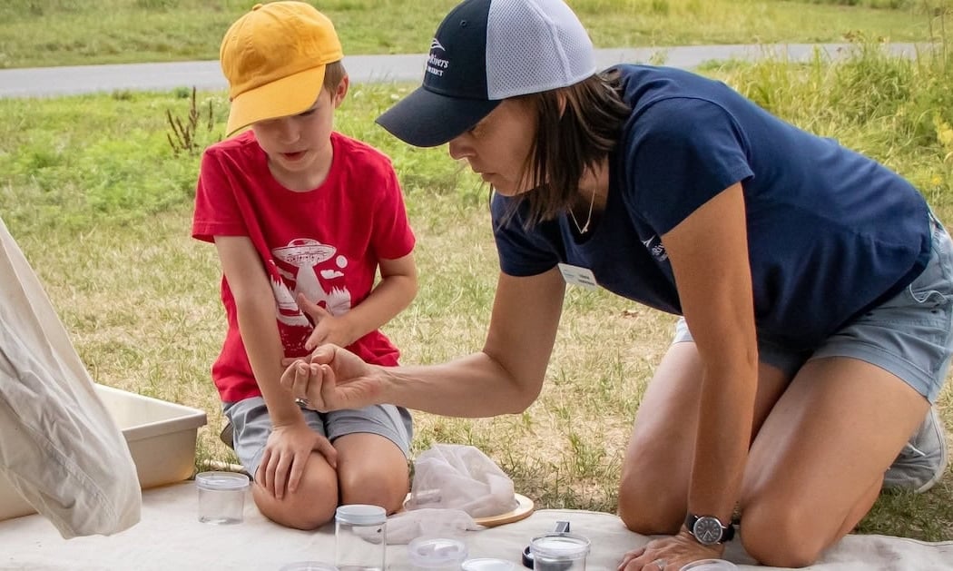 Drop-In Discoveries: Prairie Insects 1