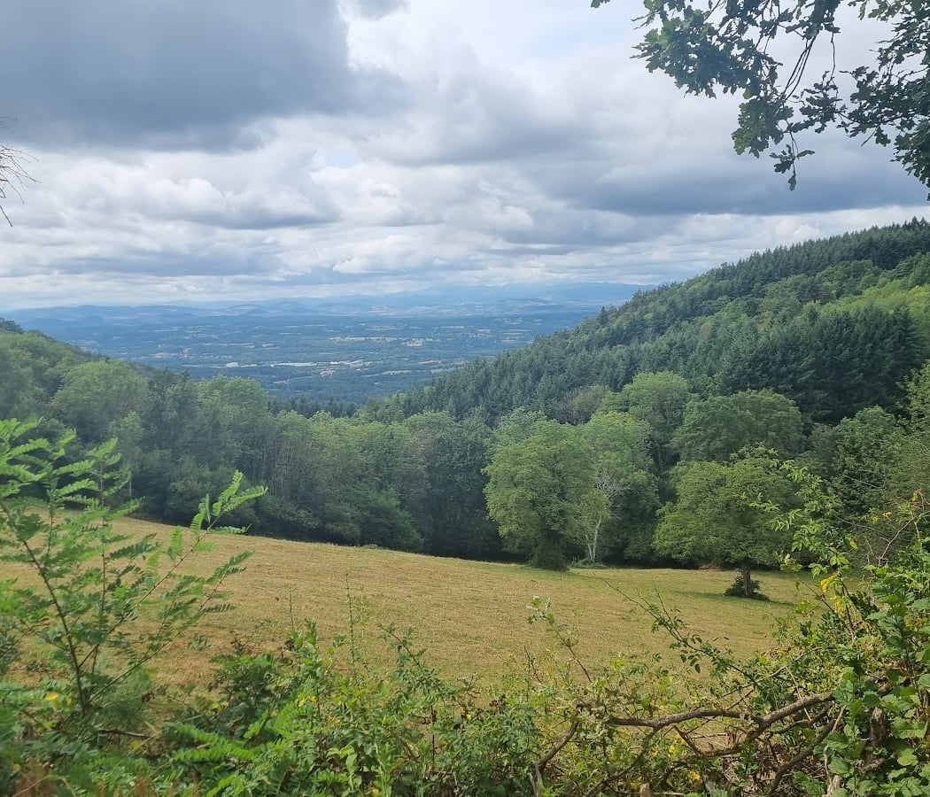 Parc naturel régional Livradois-Forez 3