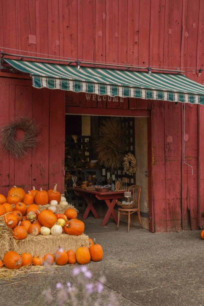 Oak Hill Farm 2