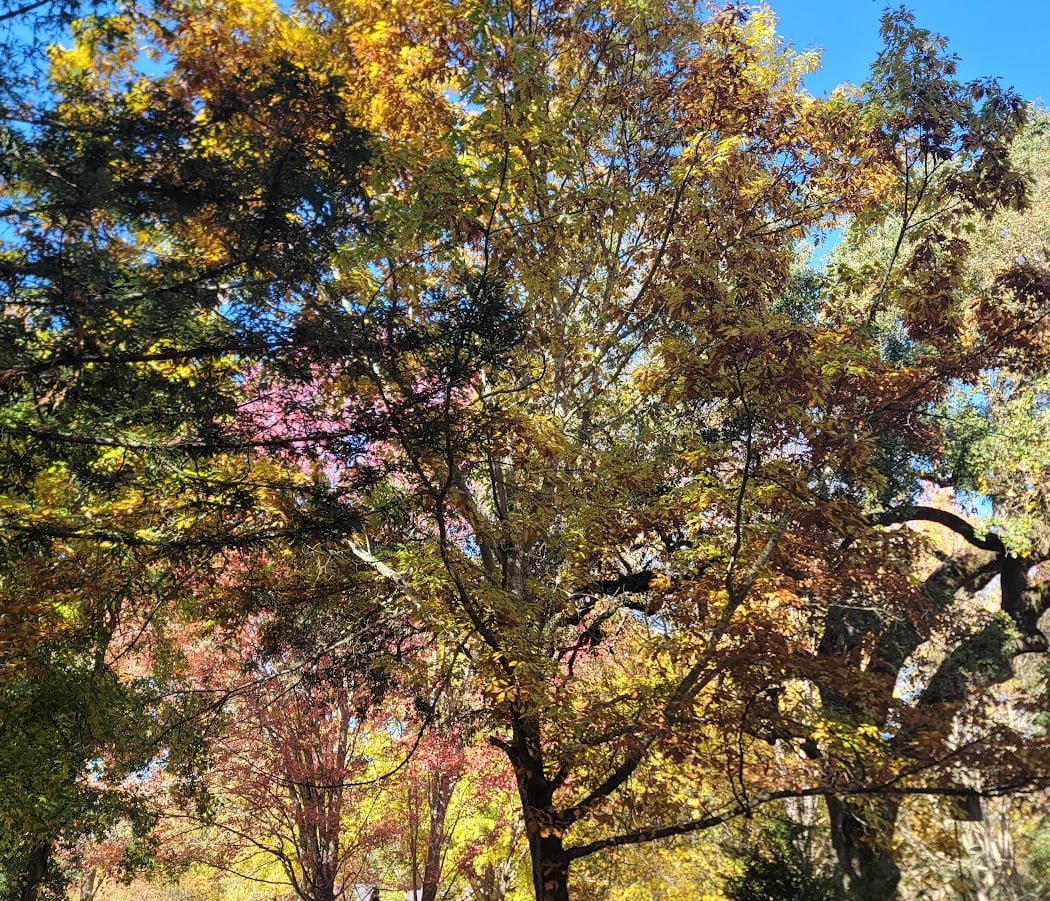 Kenwood Plaza Park 3