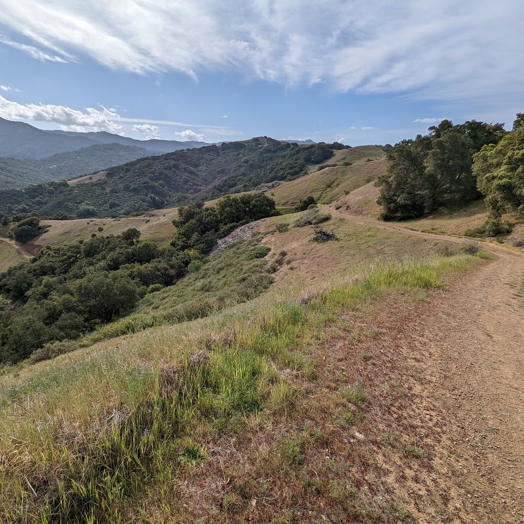 Hike at Calero County Park 3