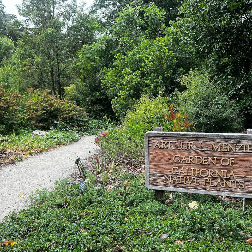 California Native Garden 2