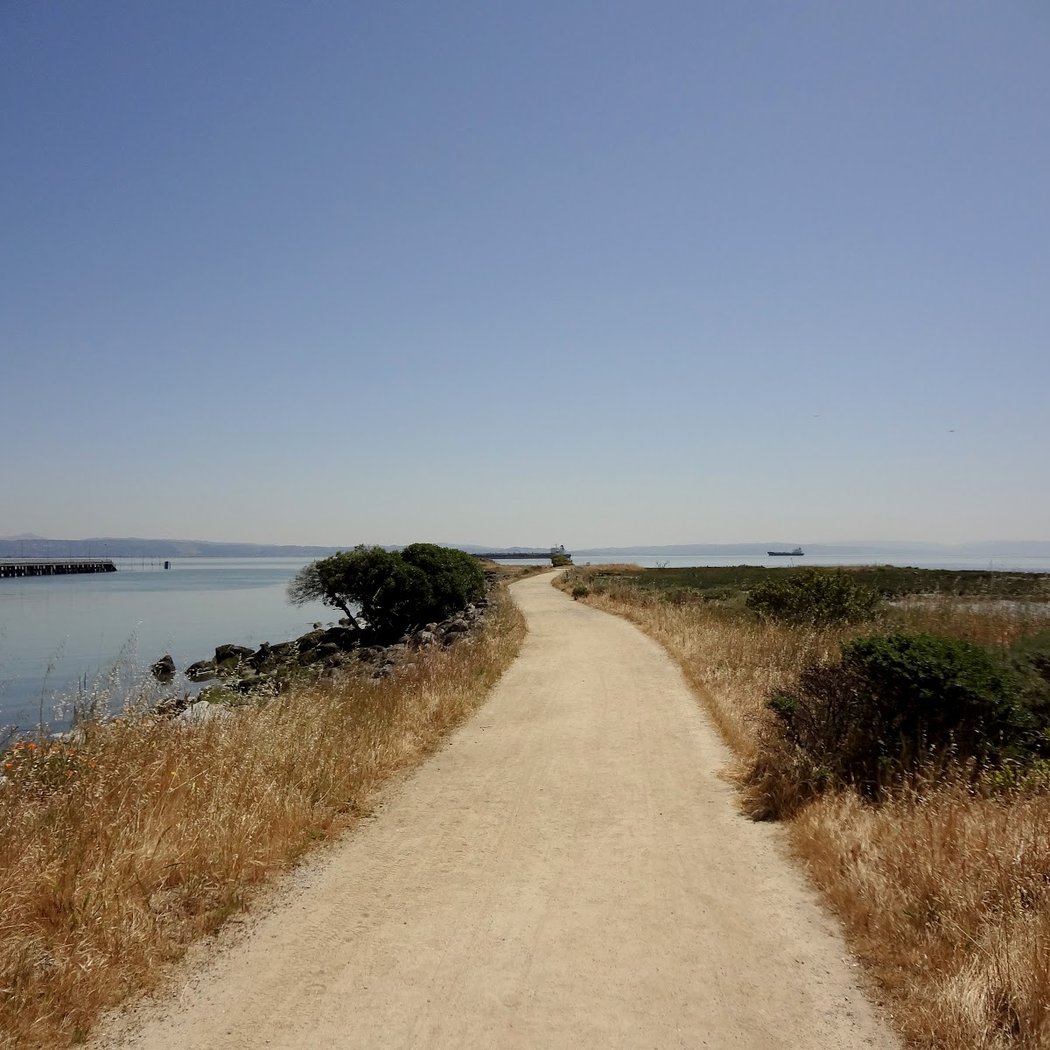 Heron's Head Park 2
