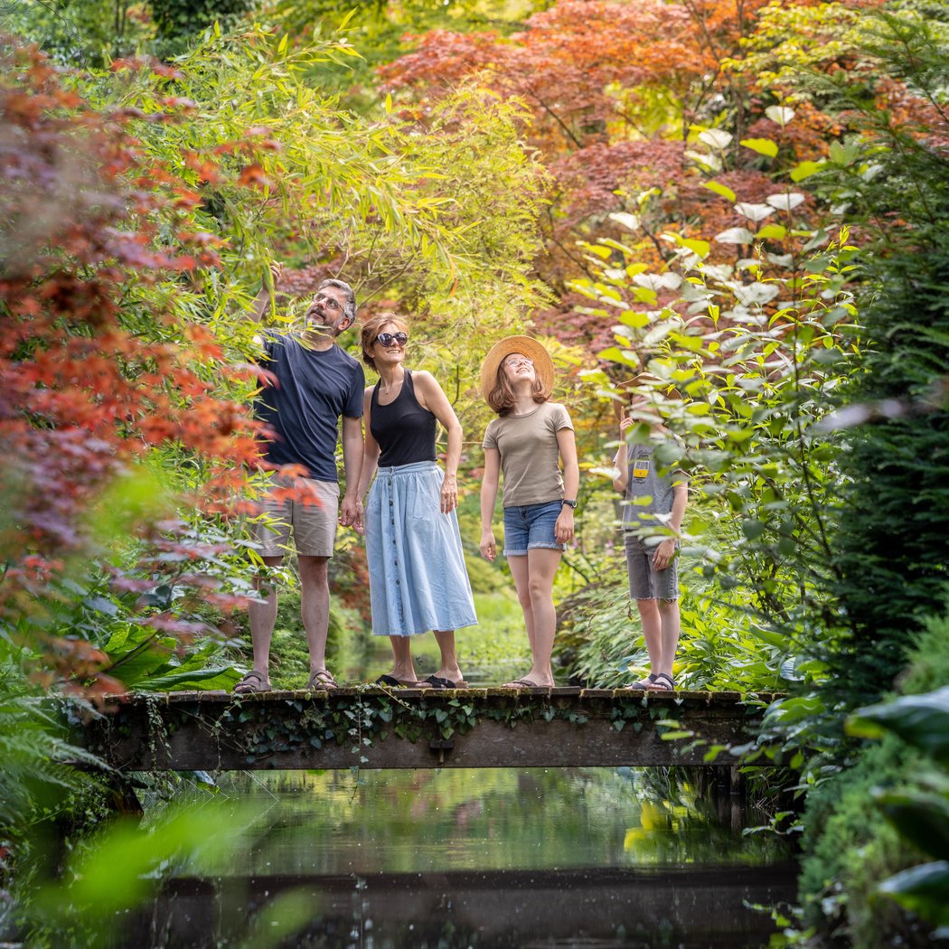 Arboretum d'Ilex garden 1