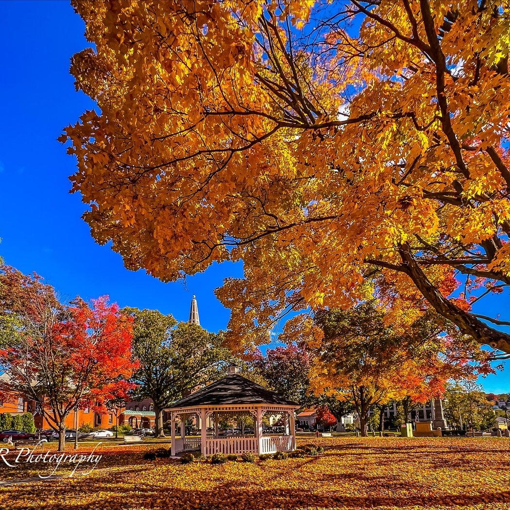 Naugatuck Green 1