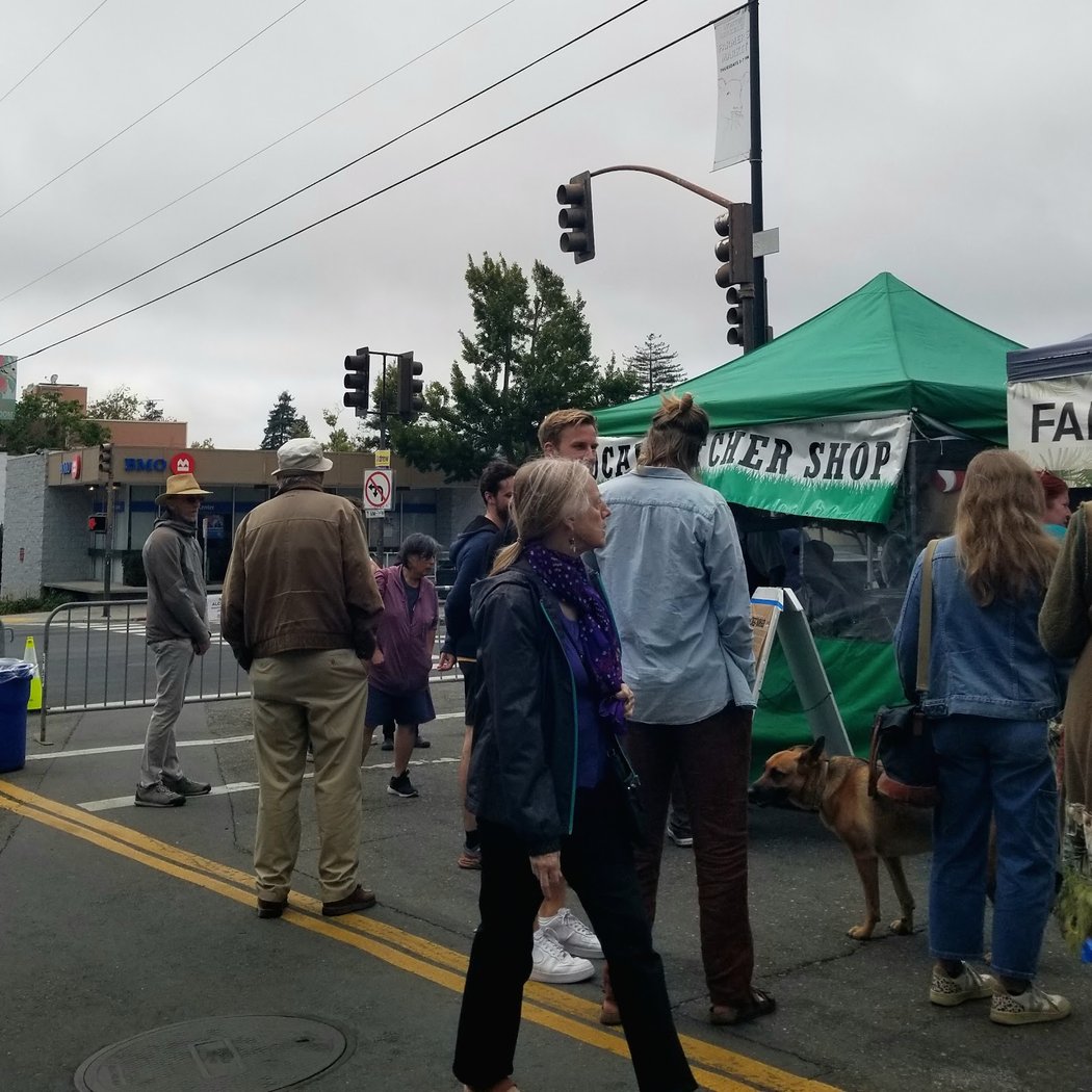 Vine Street Block Party (North Berkeley) 3