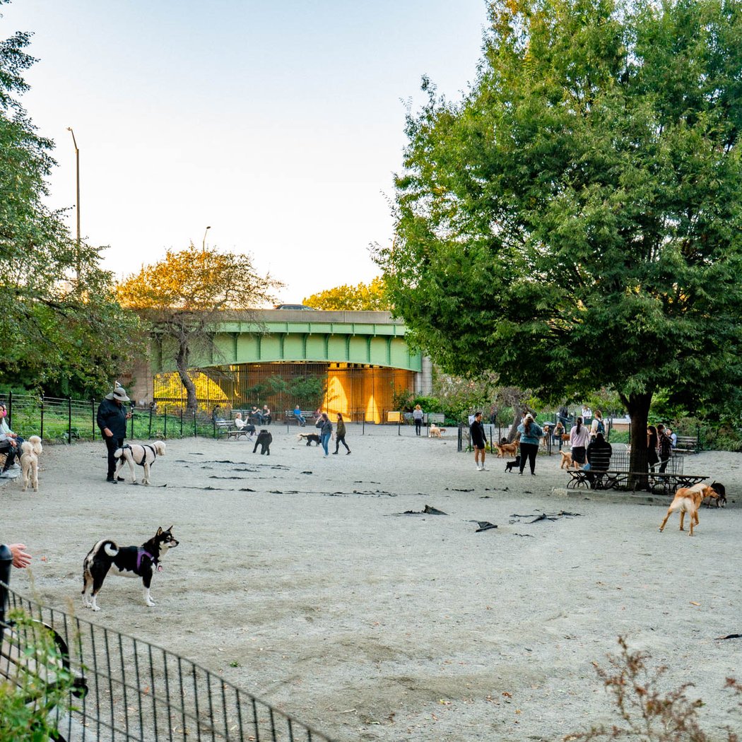 West 72nd Street Dog Run 1