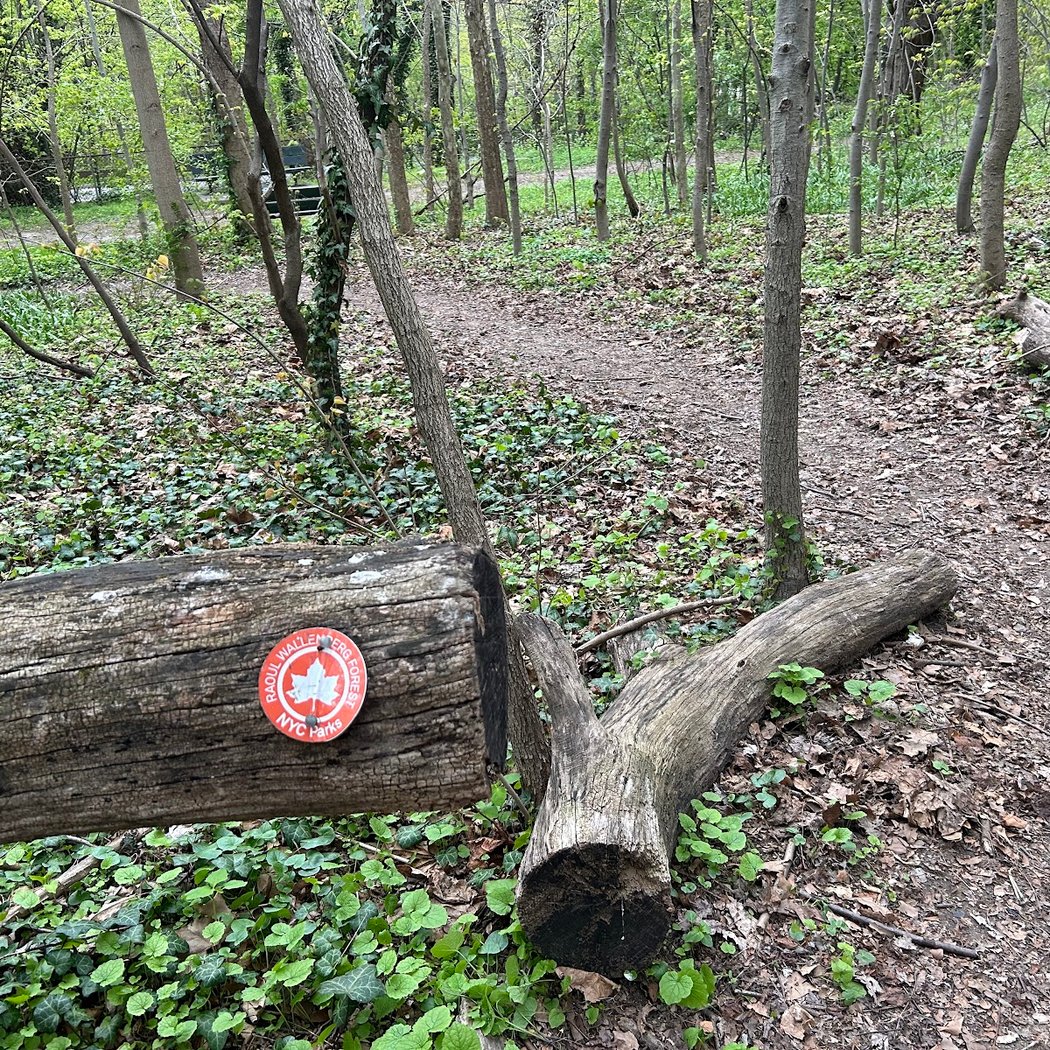 Raoul Wallenberg Forest 3