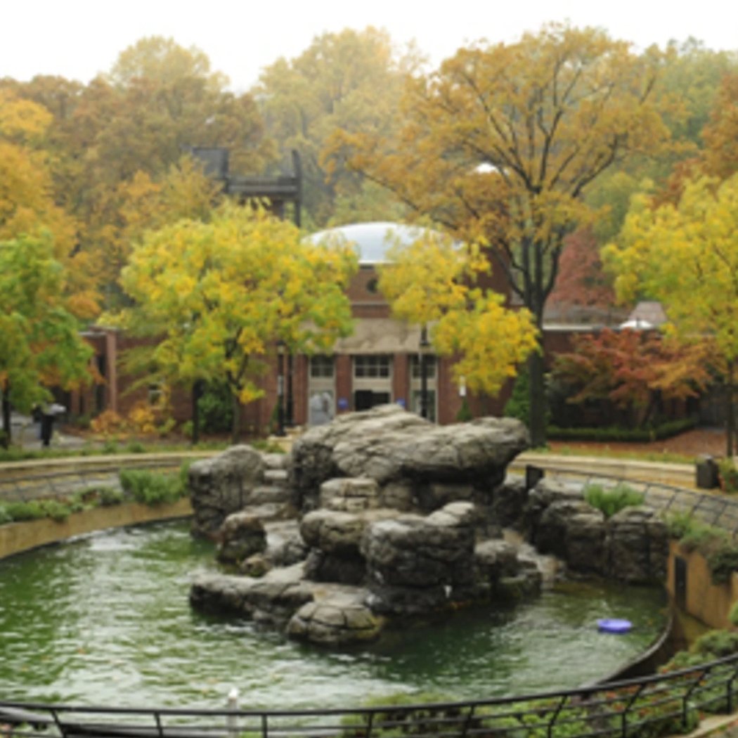 Kids Birthday Party at Prospect Park Zoo 1