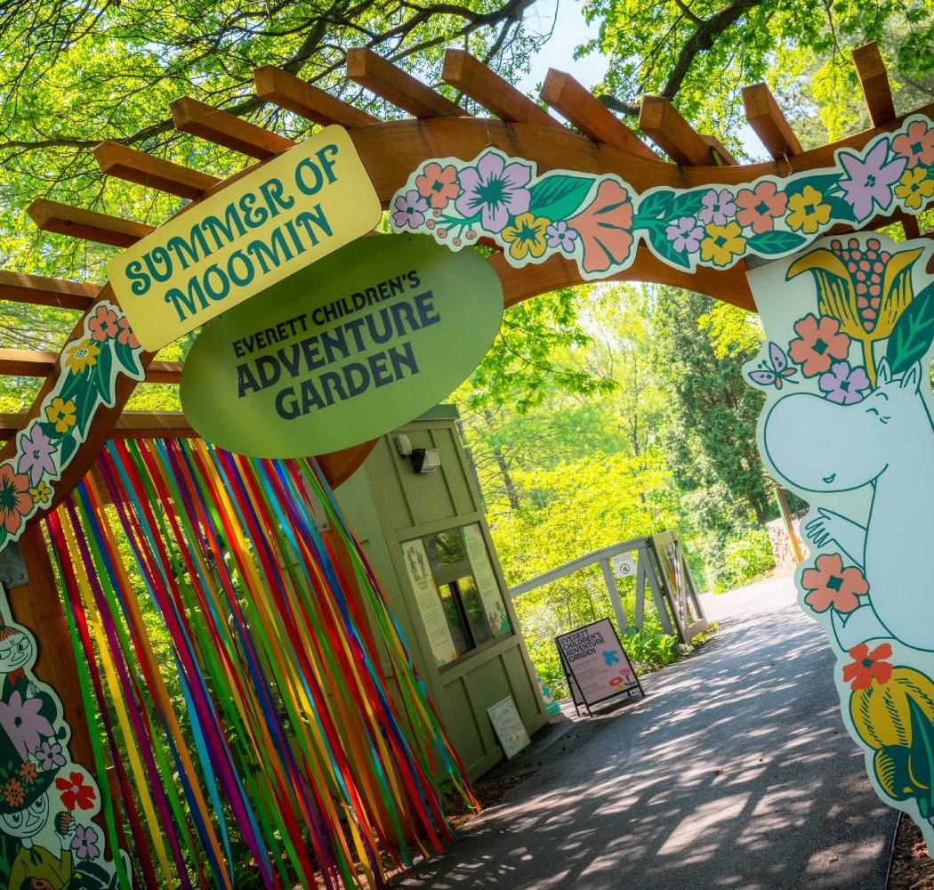 Summer of Moomin 1