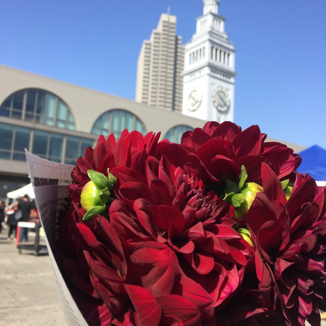 Ferry Plaza Farmers Market Closed 1