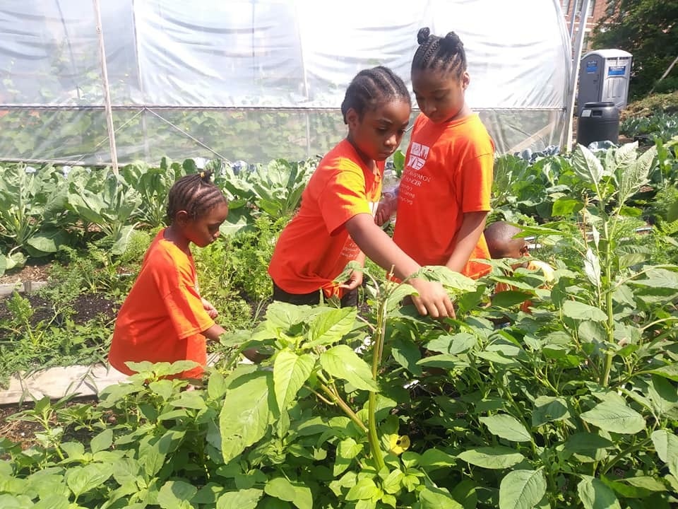 Far Rock Urban Agro Education Center 1
