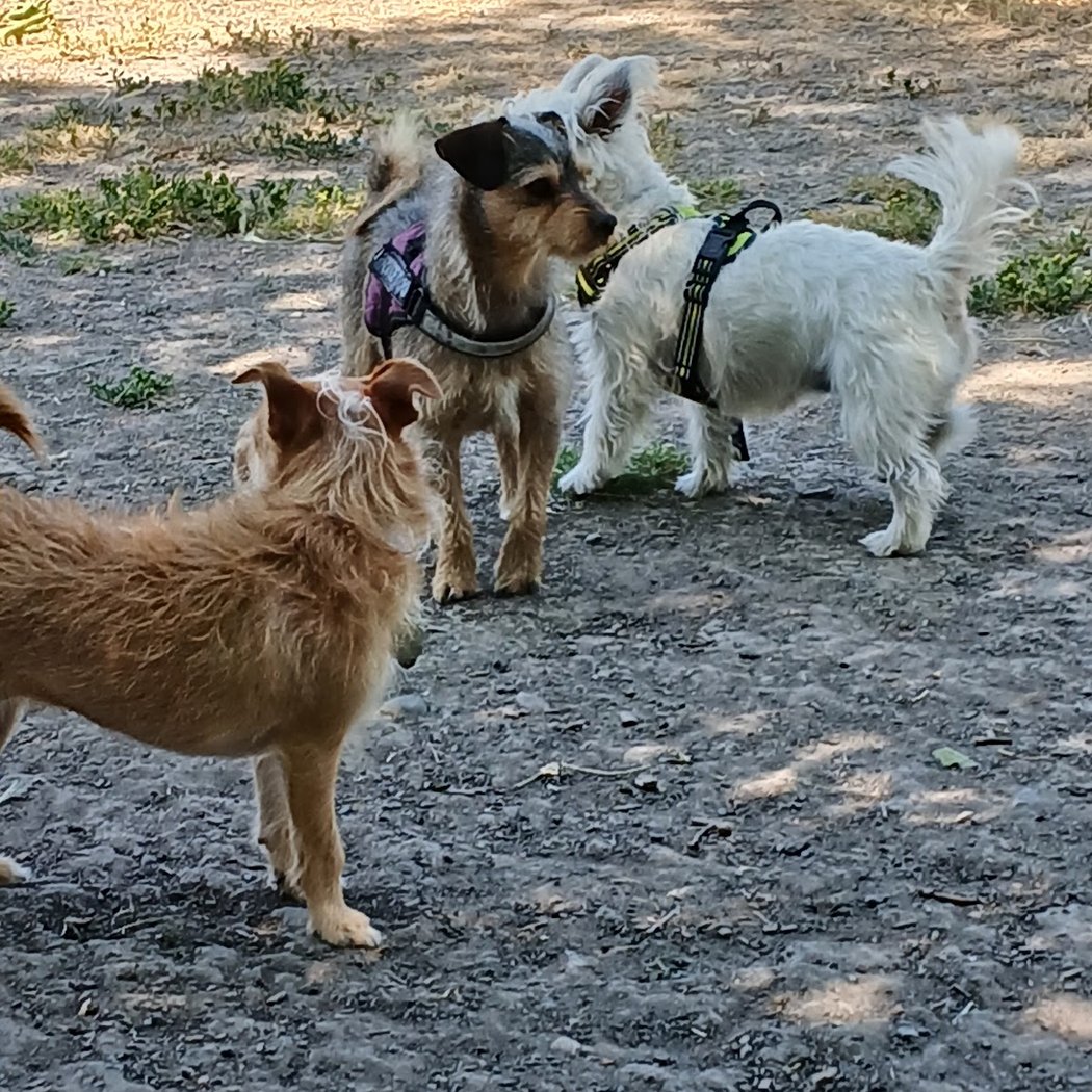 Roberts Lake Park 2