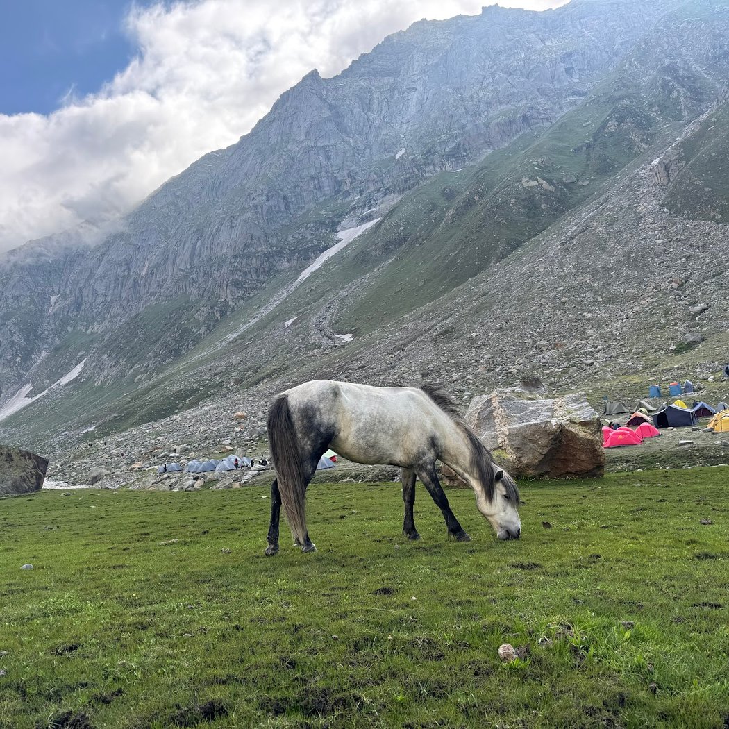 TrekNomads 3
