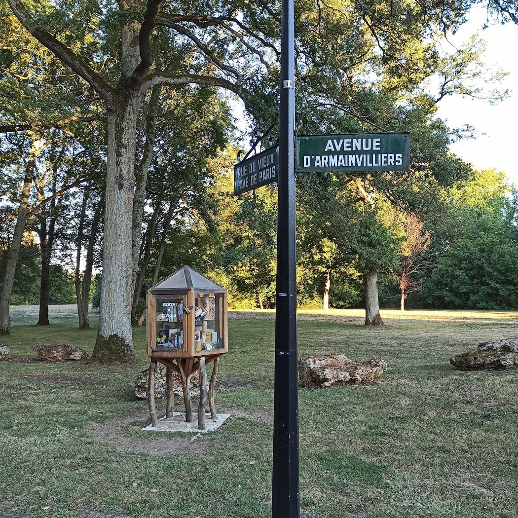 Forêt notre dame 3