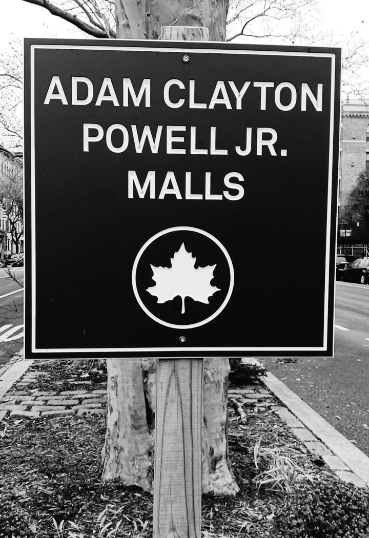 It's My Park at Adam Clayton Powell Jr. Malls 2