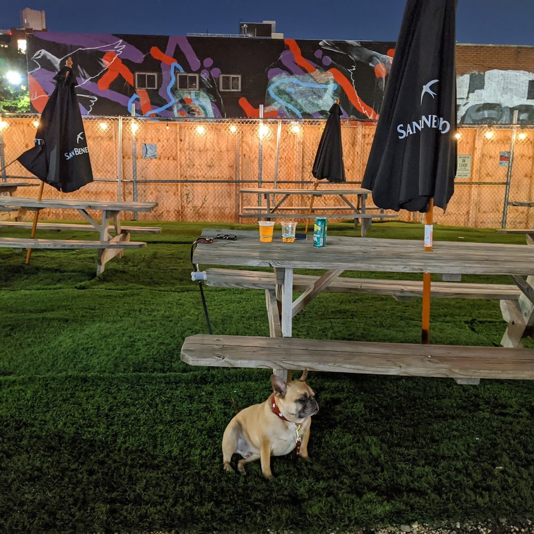Bark Park 4