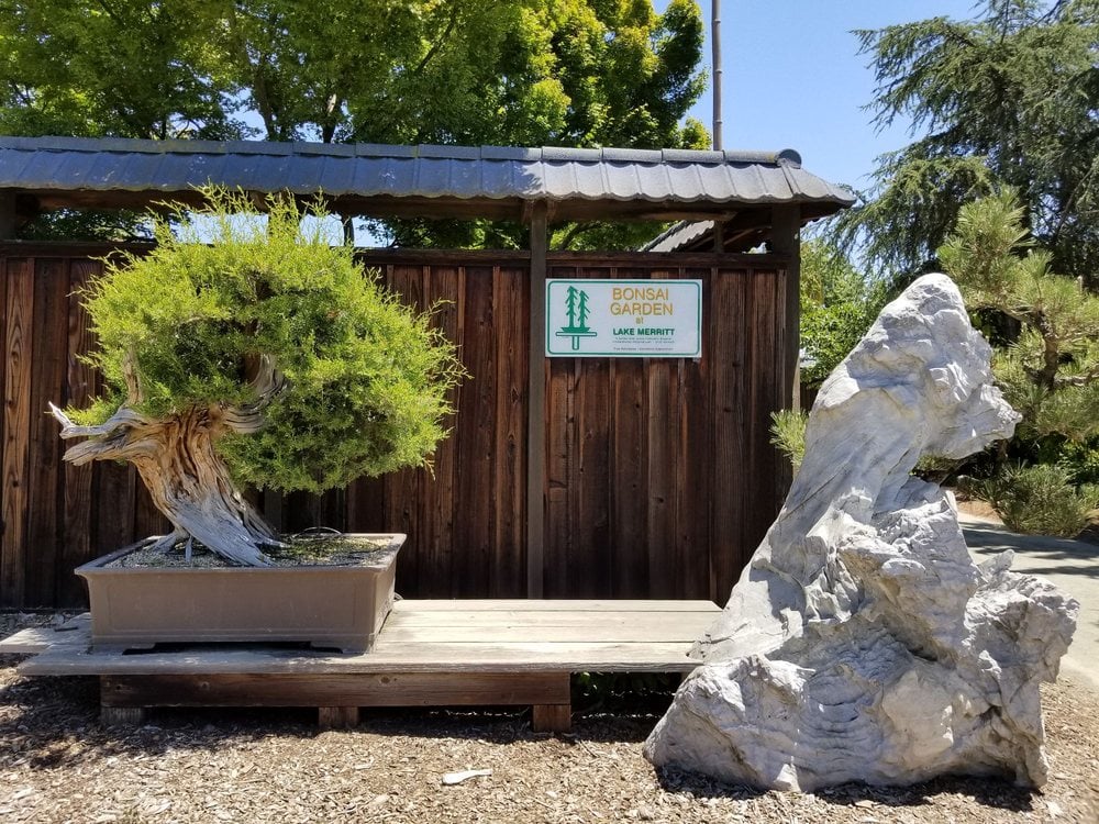 Arts and Crafts 3