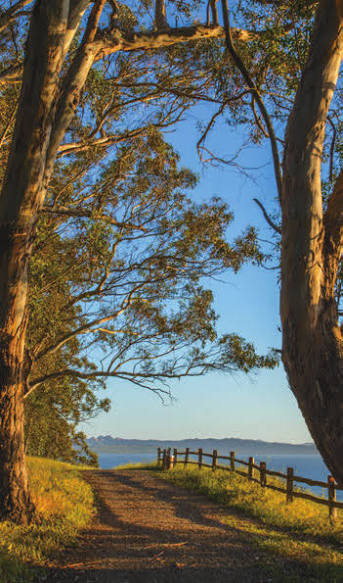 Point Pinole Regional Shoreline 1