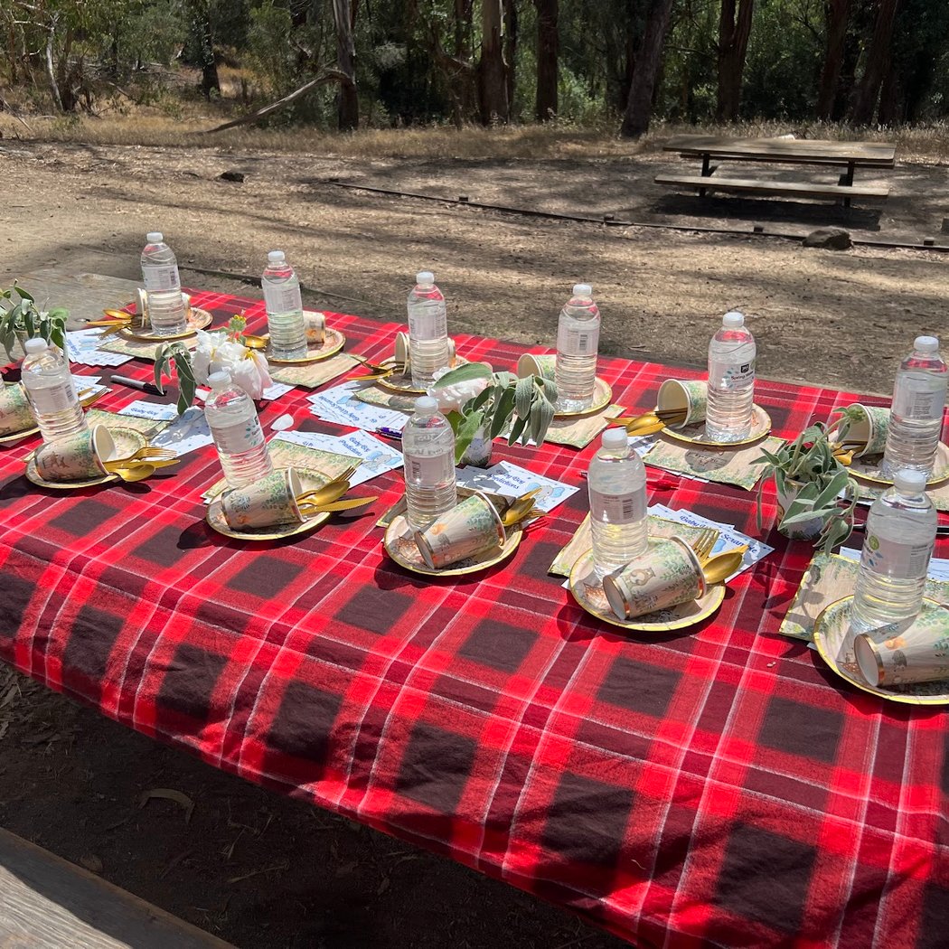 Mineral Springs Picnic Area 1