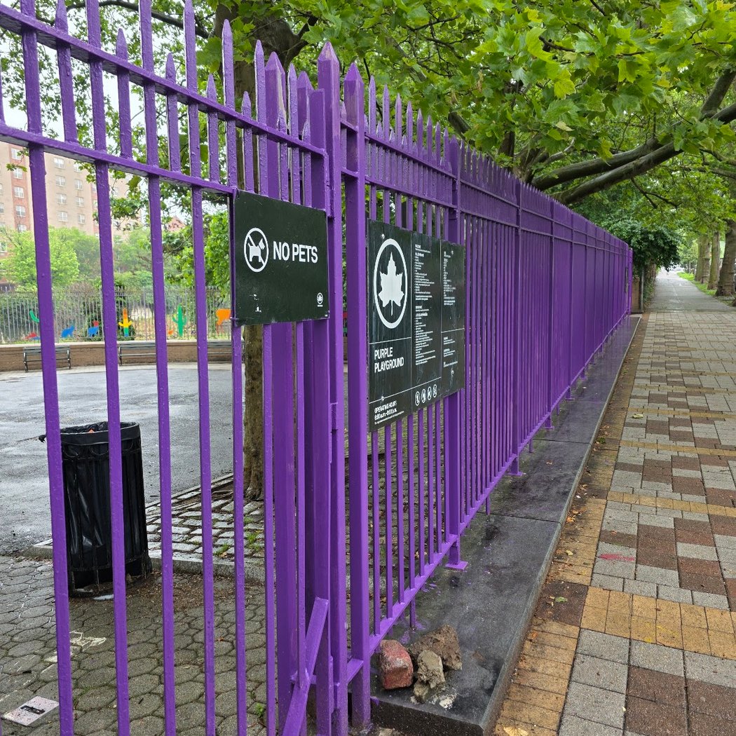 Purple Playground 3