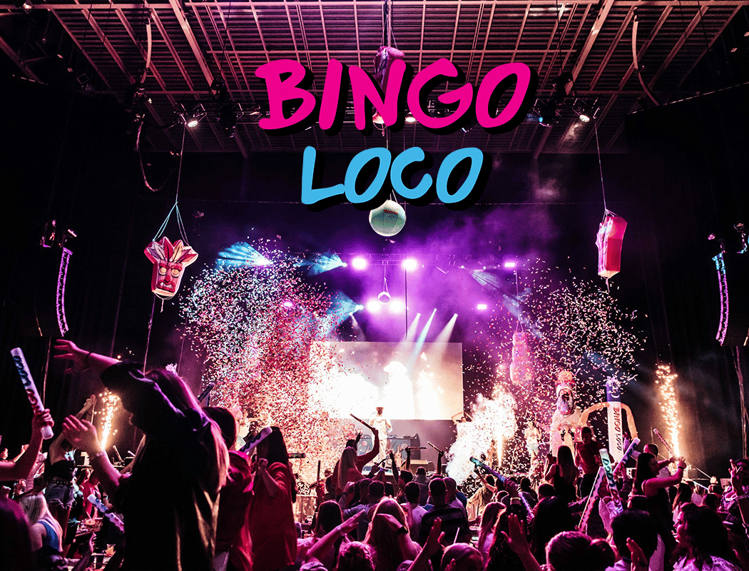 Bingo Loco 2