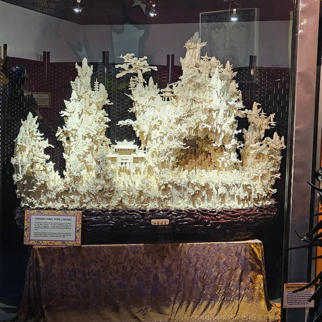 Ripley's Believe It or Not! 3