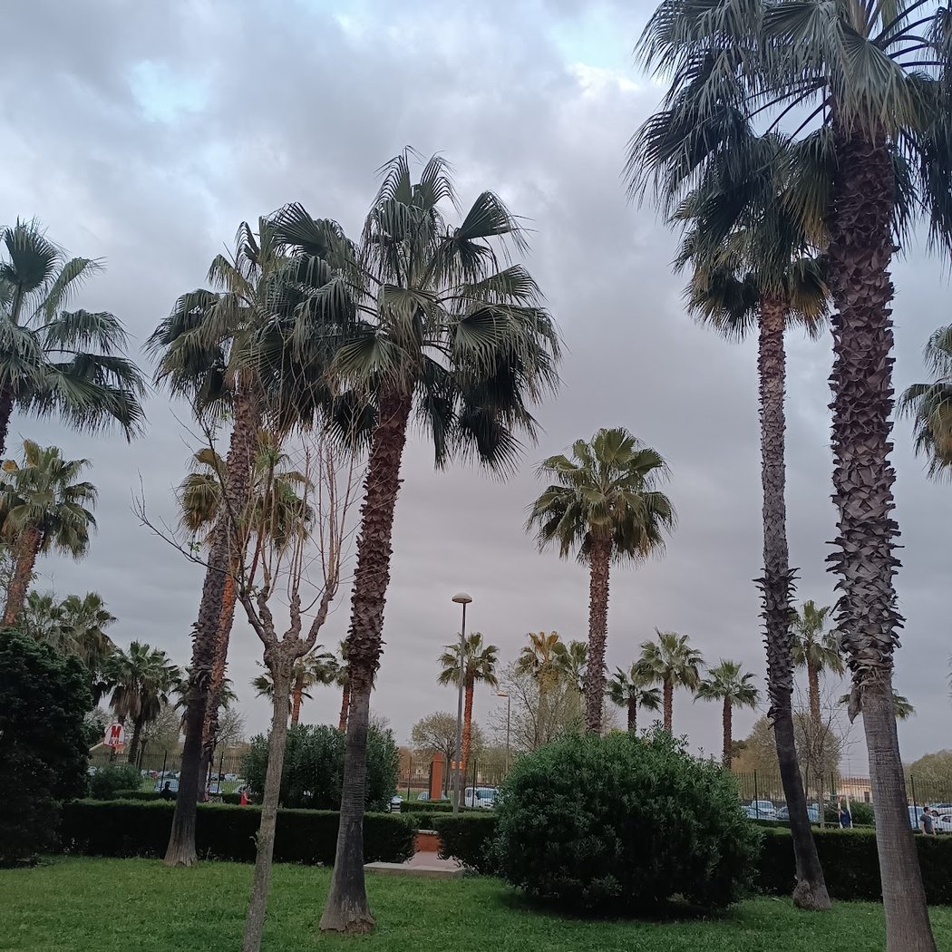Hércules Garden 3