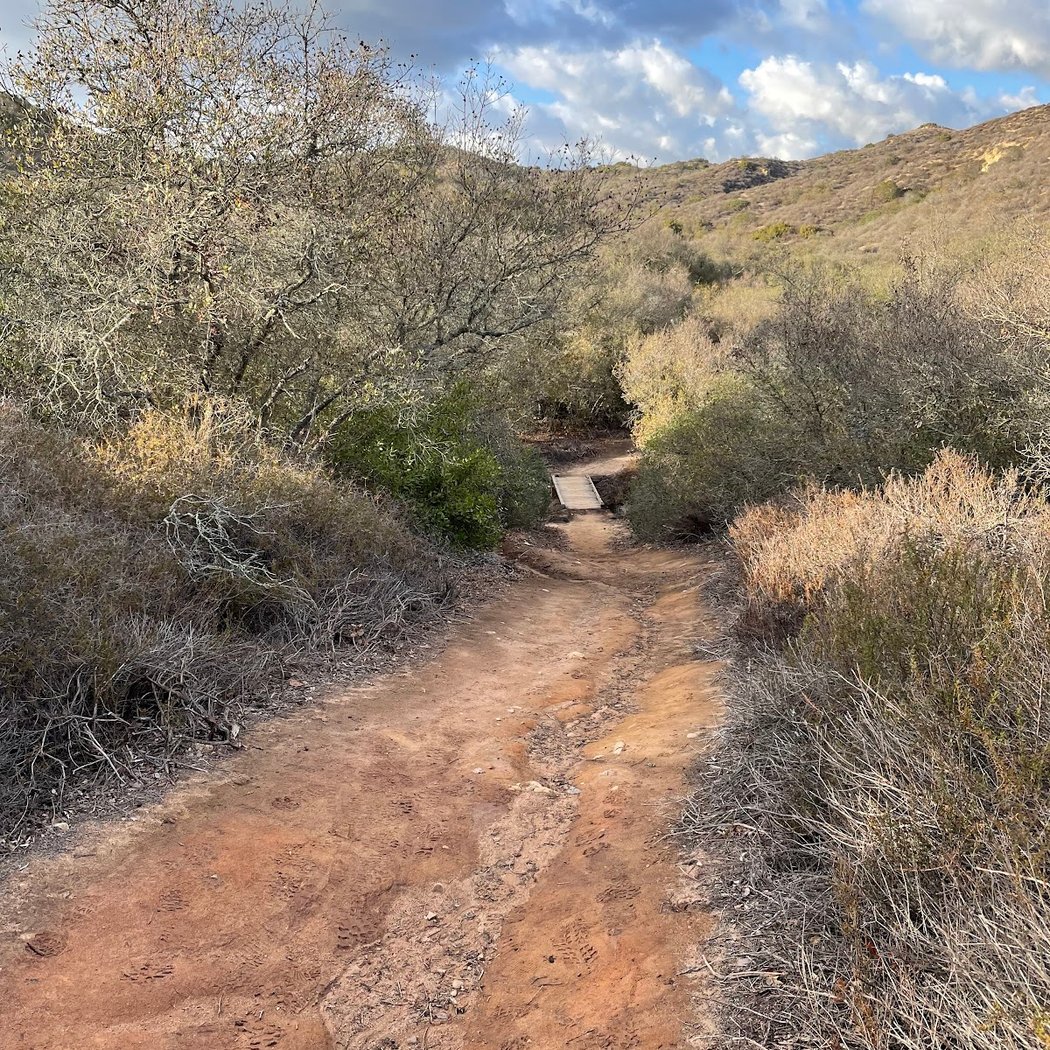 Explorers Hike: Serrano Ridge 3
