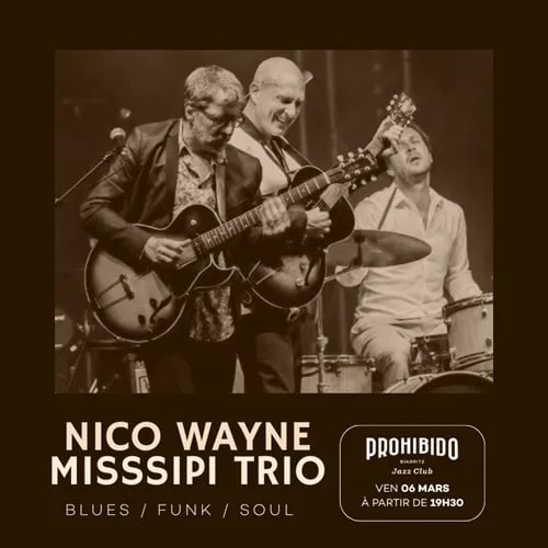Nico Wayne MiSSSippi Trio 1