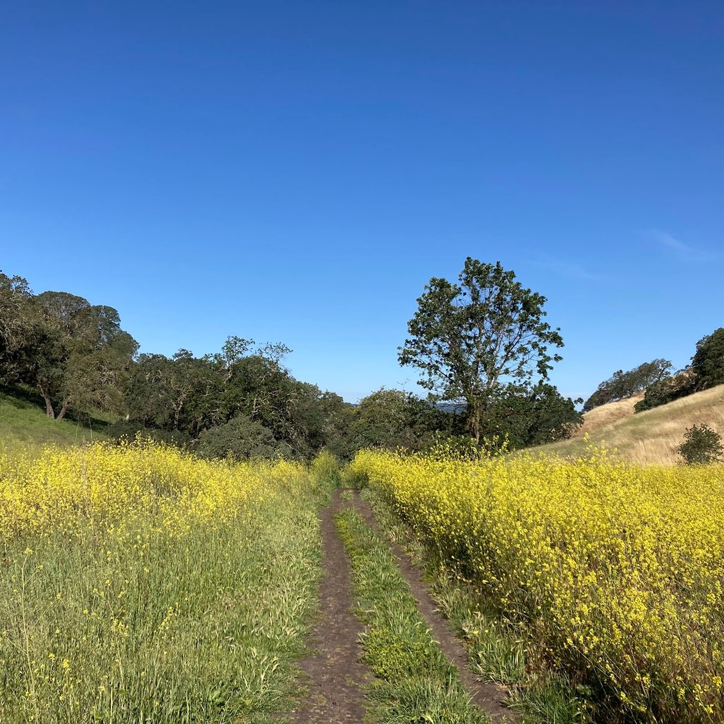 Rockspring Place trail entrance - Shell Ridge 2