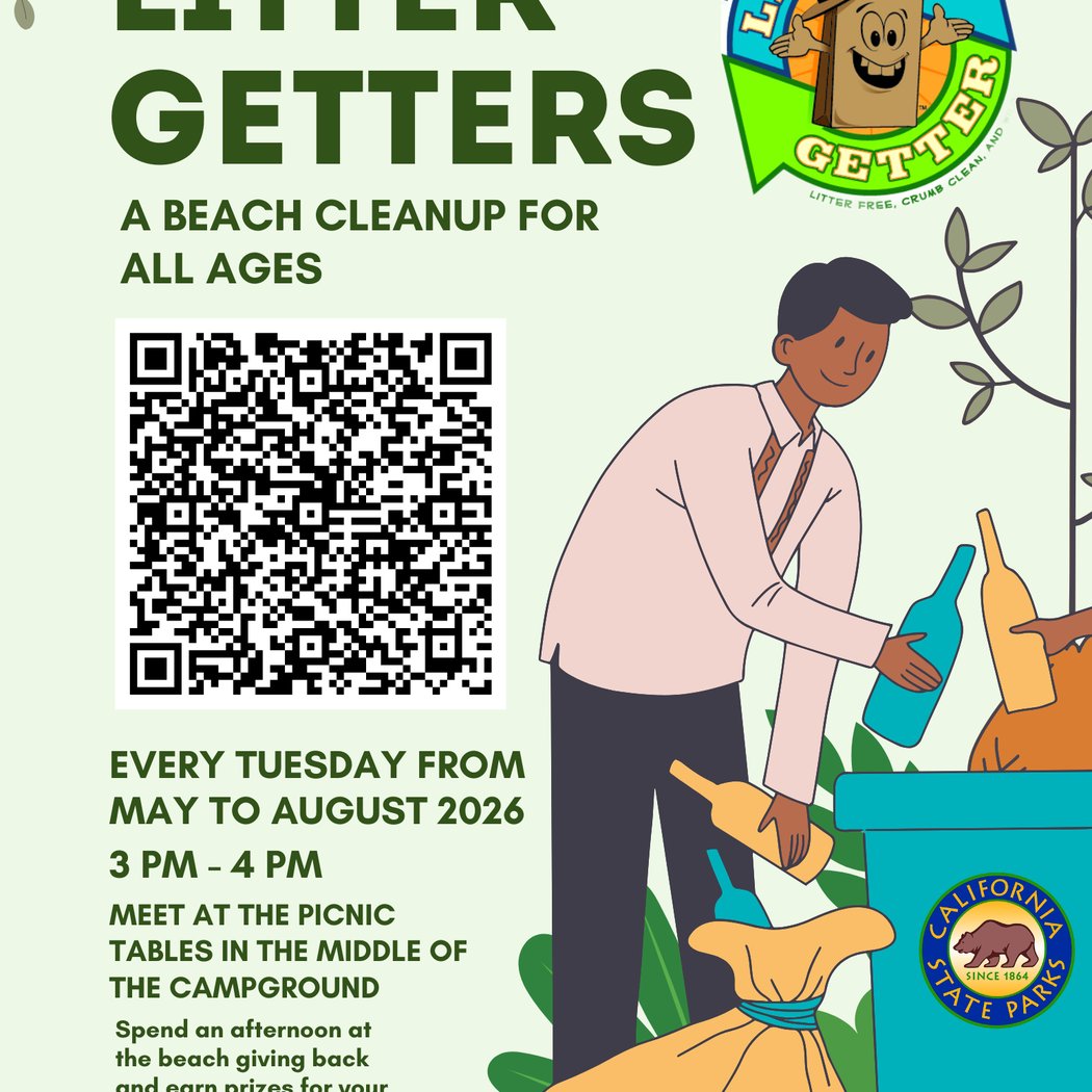 Litter Getters Beach Cleanup