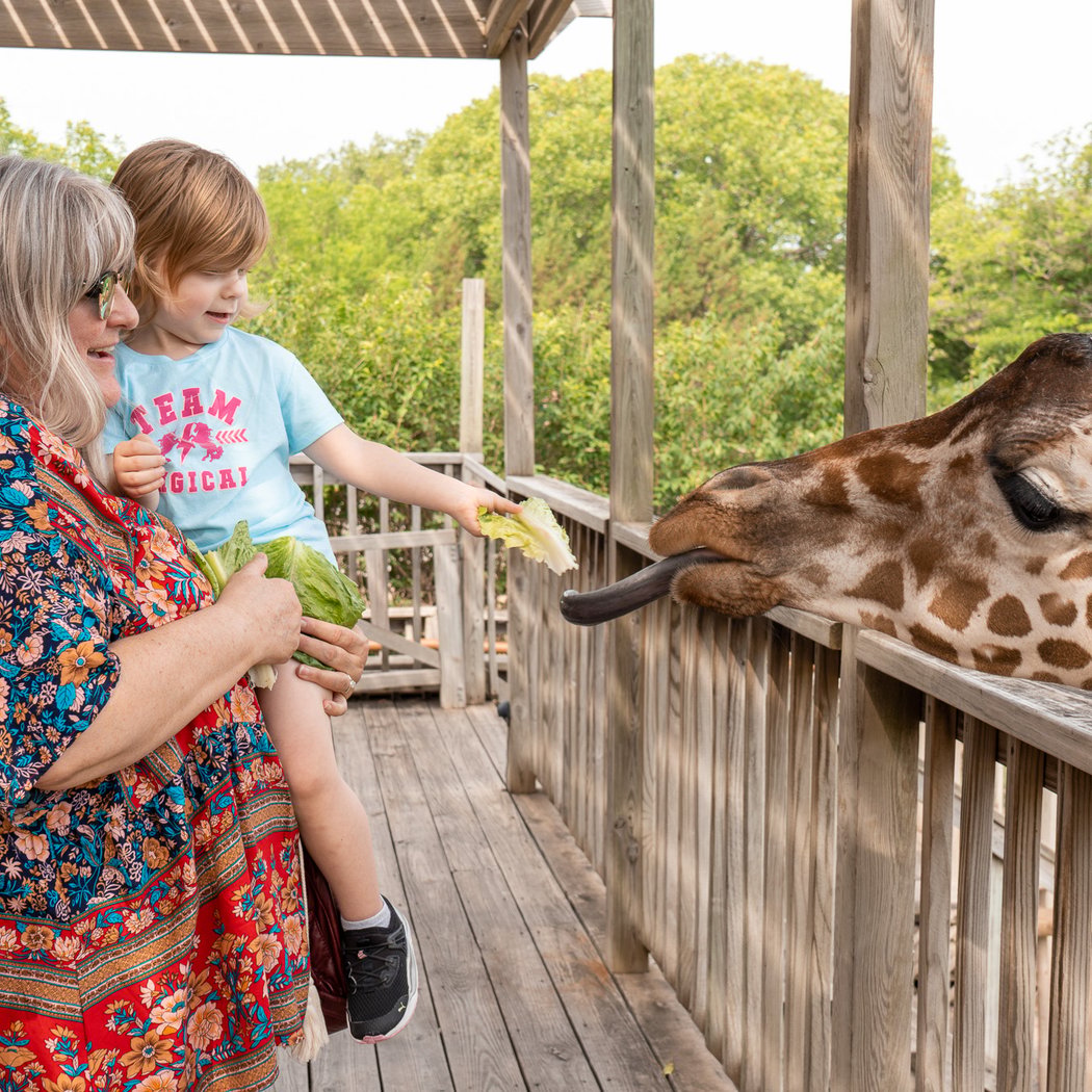 Sedgwick County Zoo 1