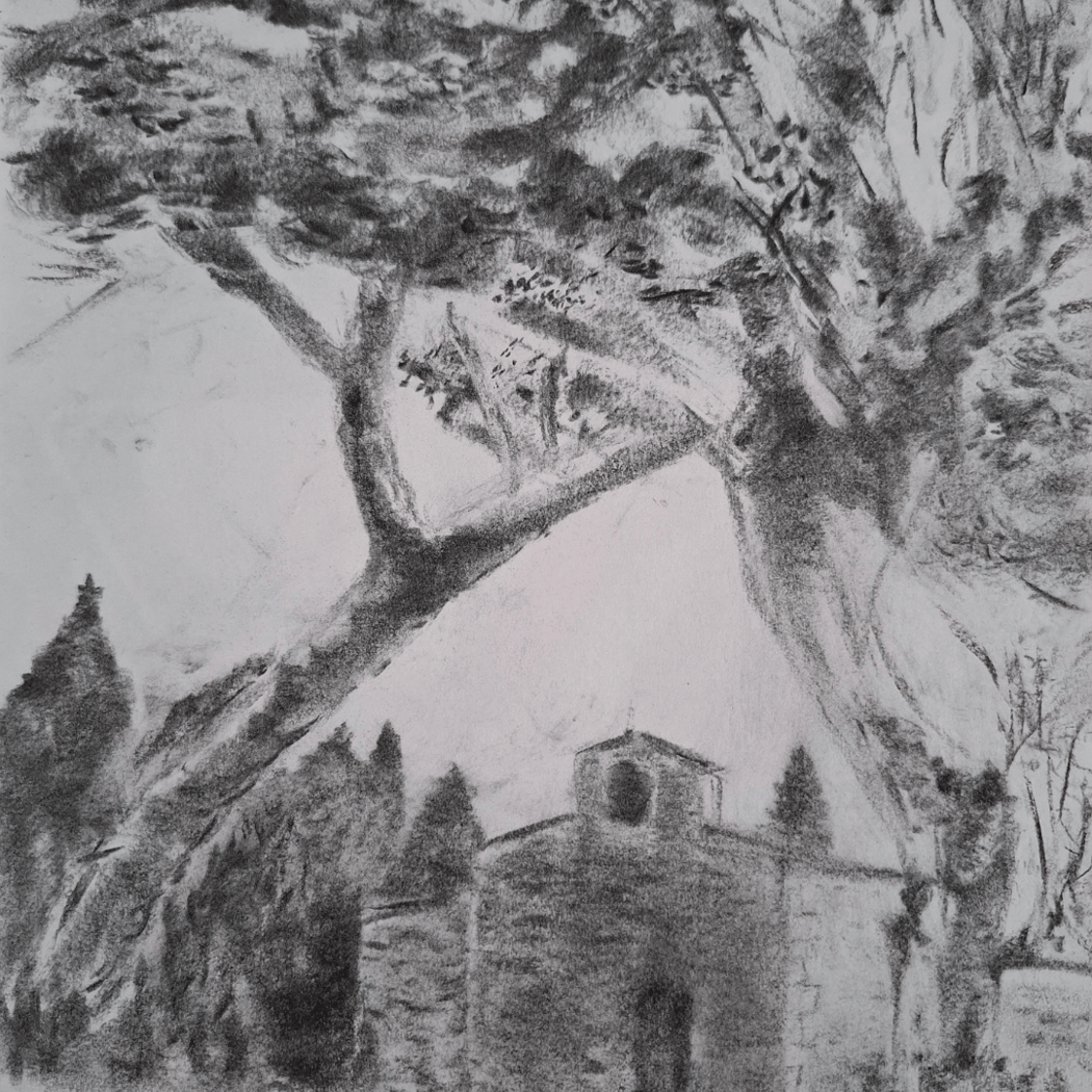 Stages adultes - Cours et stages de dessin et peinture 3