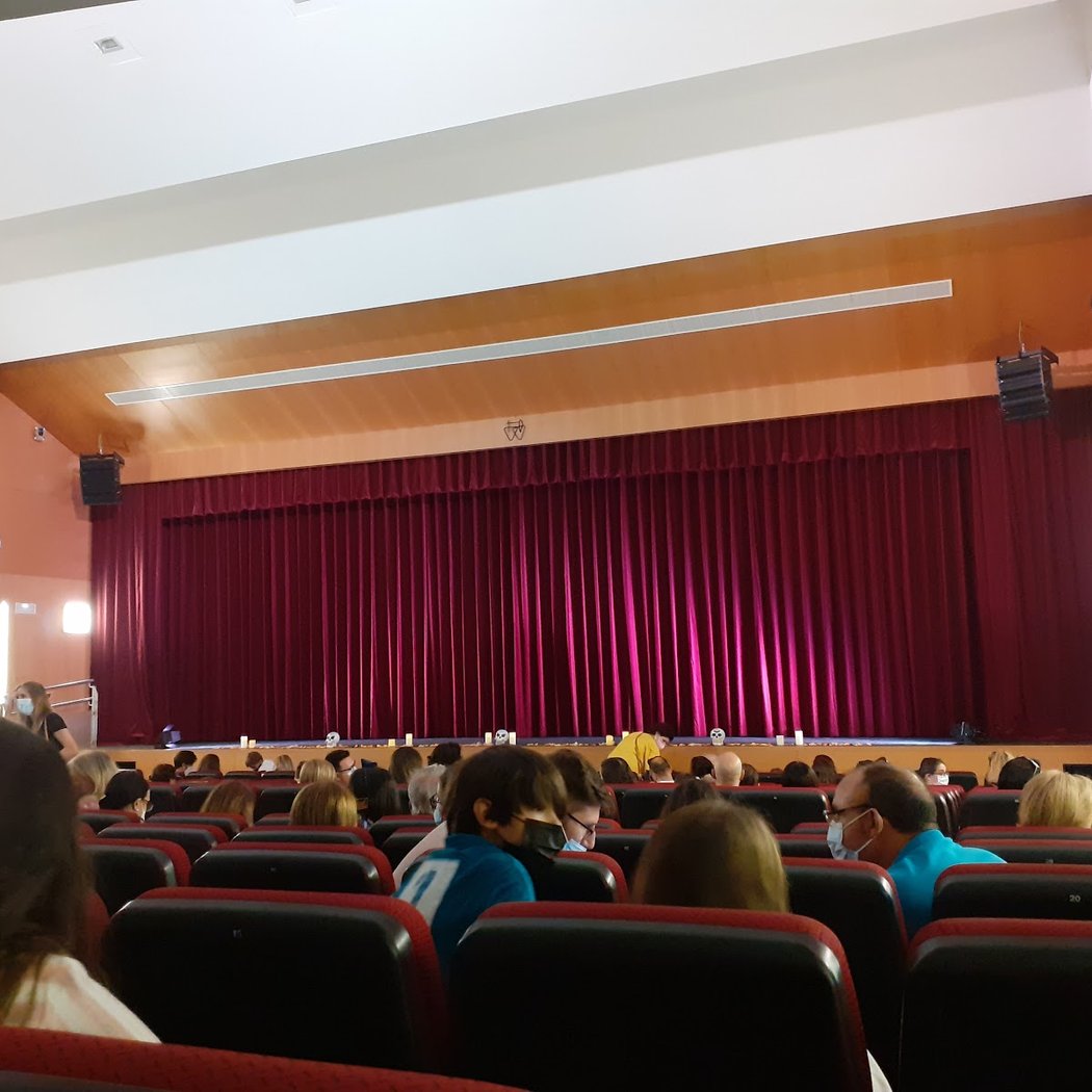 La Sirenita Tributo Musical 2
