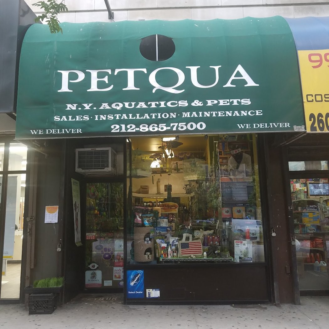 Petqua 2