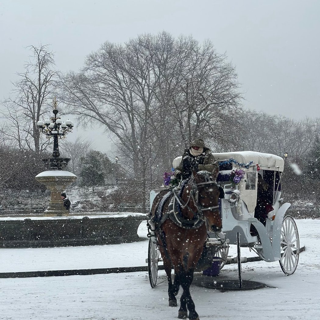 Top nyc tours 3