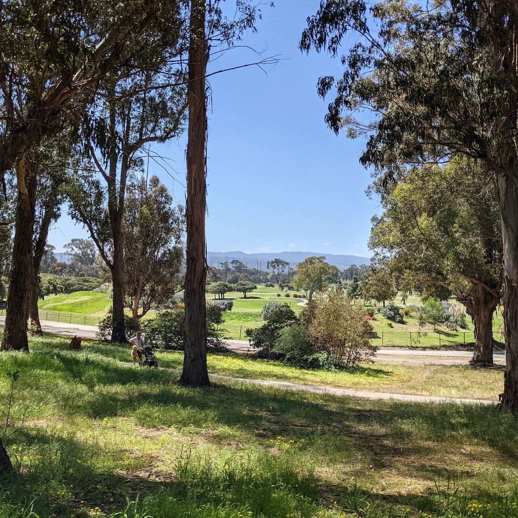 Coyote Point Drive 3